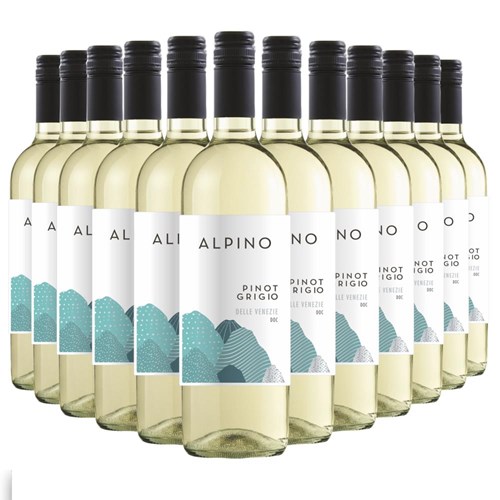 Case of 12 Alpino Pinot Grigio 75cl White Wine